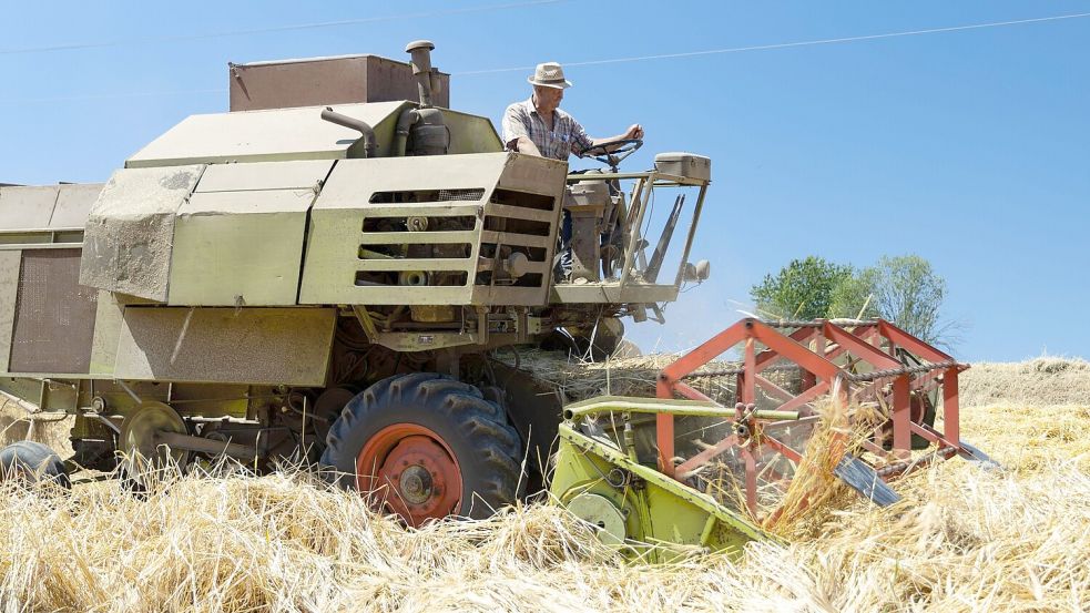 Ein Landwirt im Sommer bei der Roggenernte. Ein Hut schützt seinen Kopf vor der Sonne. IMAGO / Markus Matzel