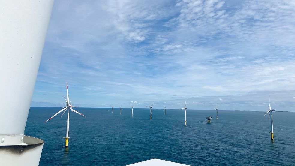 Einsamer Arbeitsplatz: Blick über einen Offshore-Windpark der Nordsee. Foto: Paul Giese