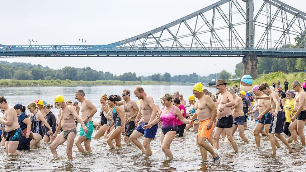 Hunderten Menschen machen beim Elbeschwimmen mit. Foto: Frank Hammerschmidt/dpa