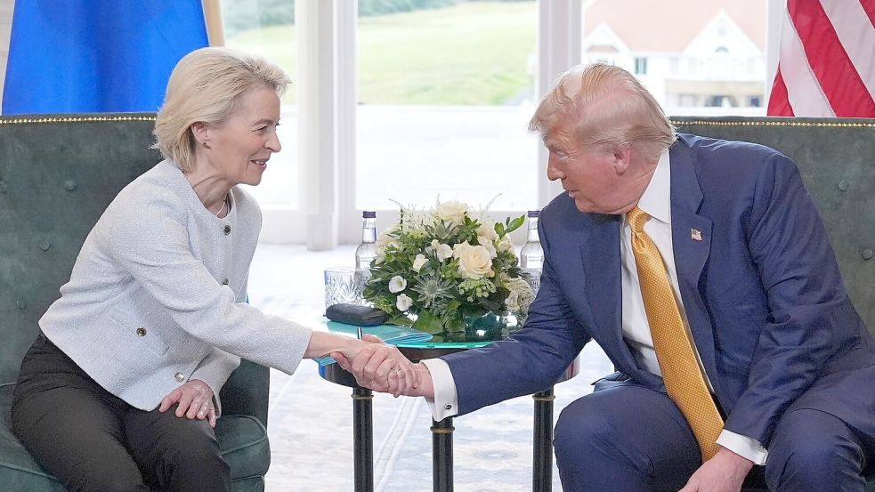 Die USA und die EU haben sich auf eine Grundsatzvereinbarung im Zollstreit geeinigt. Foto: Jacquelyn Martin/AP/dpa