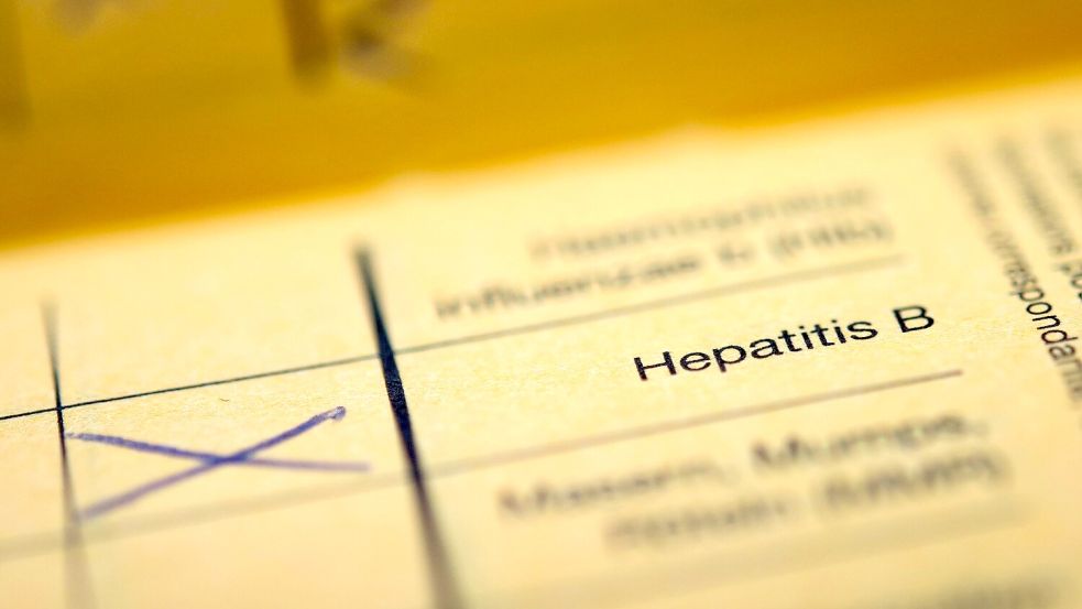 Der Schriftzug „Hepatitis B“ in einem Impfpass. Hepatitis B kann Leberkrebs verursachen. Foto: picture alliance / dpa
