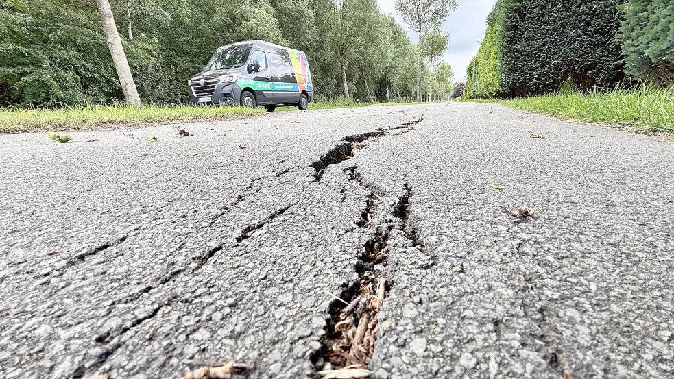 Viele Radwege seien in einem schlechten Zustand, wird in Wiesmoor beklagt. Das Foto zeigt die Azaleenstraße. Foto: Klaus Ortgies
