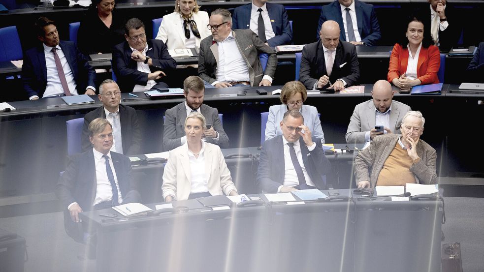 Hat es sich in der Opferrolle gemütlich gemacht: die AfD im Bundestag. Foto: IMAGO / IPON