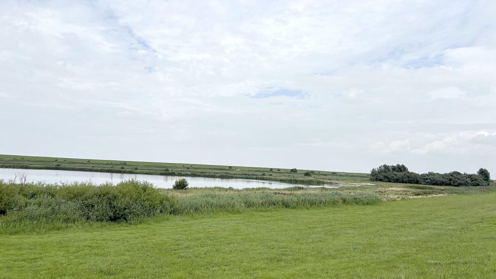 Der Greetsieler Badesee ist naturbelassen – außer ein paar Bänken gibt es dort nichts. Fotos: Lotta Groenendaal