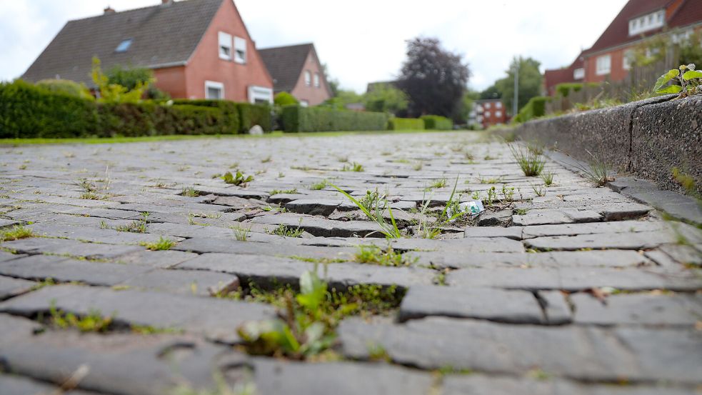 Unebenheiten im Pflaster der Dwarsglupe. Foto: Romuald Banik