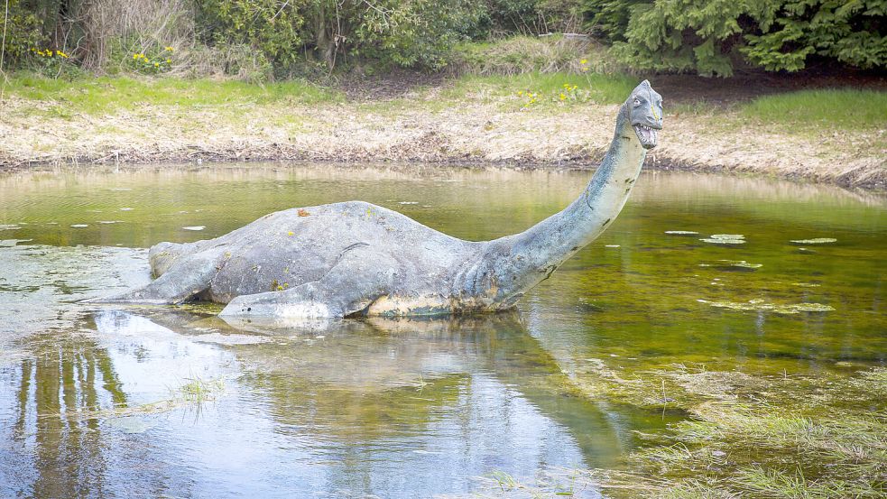 Diese Nachbildung soll „Nessie“ zeigen. Über das Aussehen des Monsters wird bis heute gestritten. Foto: dpa/VisitScotland/Kenny Lam