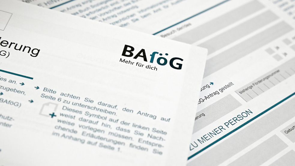 Durchschnittlich 635 Euro erhielten die Geförderten pro Monat im vergangenen Jahr. (Symbolbild) Foto: Elisa Schu/dpa