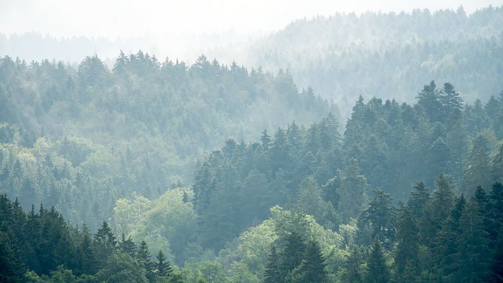 Zur Wochenmitte hat das verregnete Wetter voraussichtlich ein Ende. Foto: Silas Stein/dpa