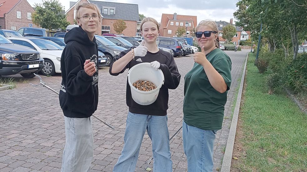 Auch diese drei jungen Helfer haben sich an der Aktion auf Borkum beteiligt. Foto: Stadt Borkum