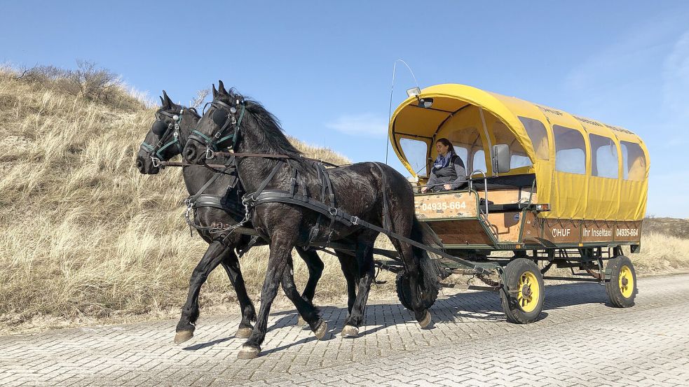 Dafür haben die Bürger auf Juist gekämpft: Die Ostfriesische Insel bleibt eine Pferdeinsel. Foto: -/HUF Spedition Juist/dpa/Archiv