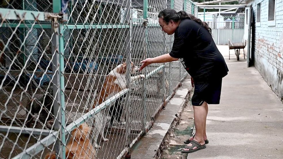 Zhao Xinqi betreibt einen Hof mit 500 Hunden - viele davon wurden gerettet. Foto: Johannes Neudecker/dpa