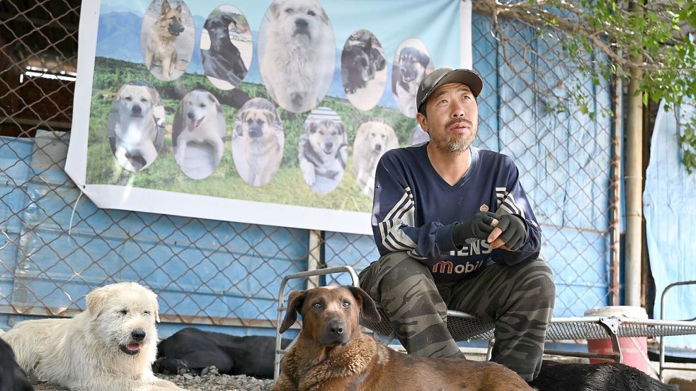 Huzi hatte zehn Jahre in Peking gearbeitet, bevor er entschied, sich nur noch um Hunde zu kümmern. Foto: Johannes Neudecker/dpa