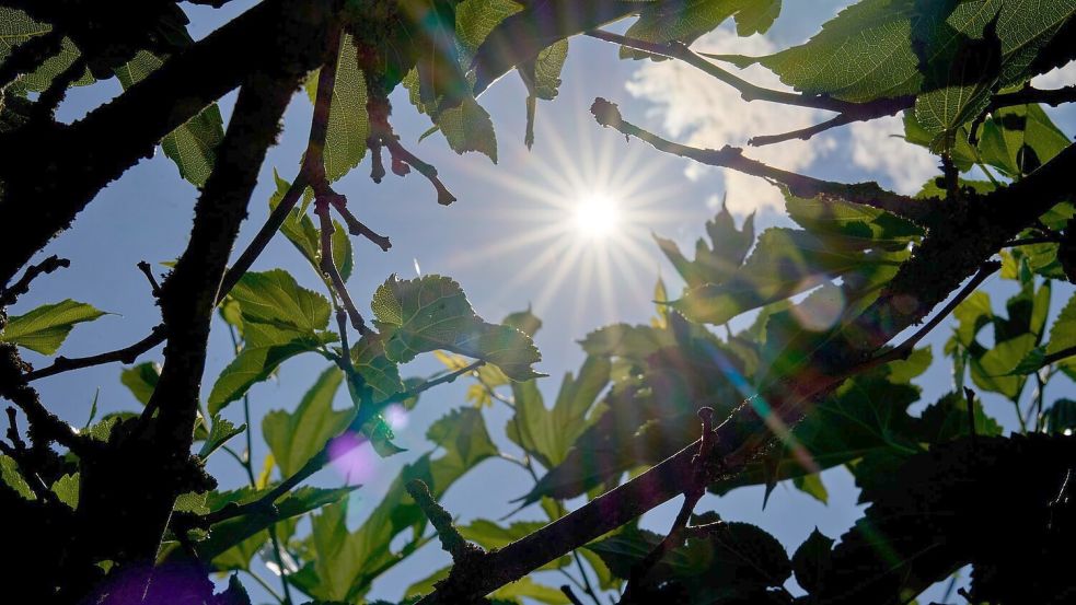 Über Temperaturen um die 30 Grad kann sich vor allem der Süden in den kommenden Tagen freuen. (Archivbild) Foto: Sascha Ditscher/dpa