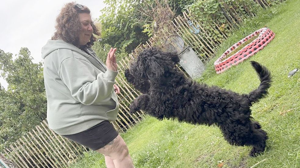 Der Welpe Apollon hat zwar noch gut ein Jahr Zeit, bis für ihn wirklich die Ausbildung zum Assistenzhund beginnt. Aber schon jetzt übt seine Halterin Silke Wagner täglich spielerisch mit ihm. Das prägt – und stärkt die Bindung. Foto: Susanne Ullrich