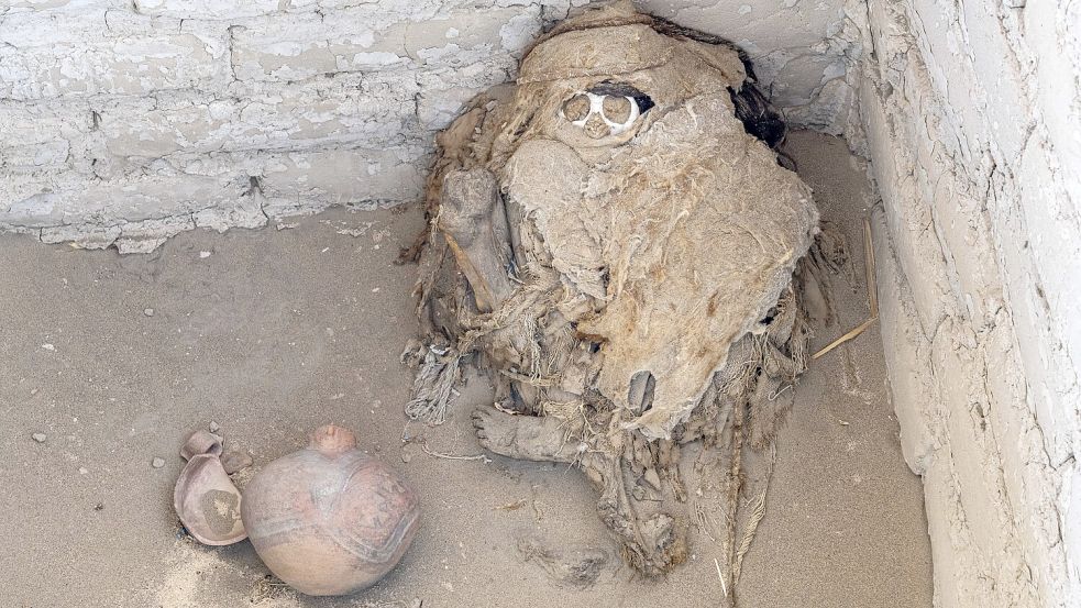 Mumie auf dem Friedhof von Chauchilla, Friedhof von Chauchilla, Nasca, Peru, Südamerika Mummy in the Cemetery of Chauchi Foto: www.imago-images.de