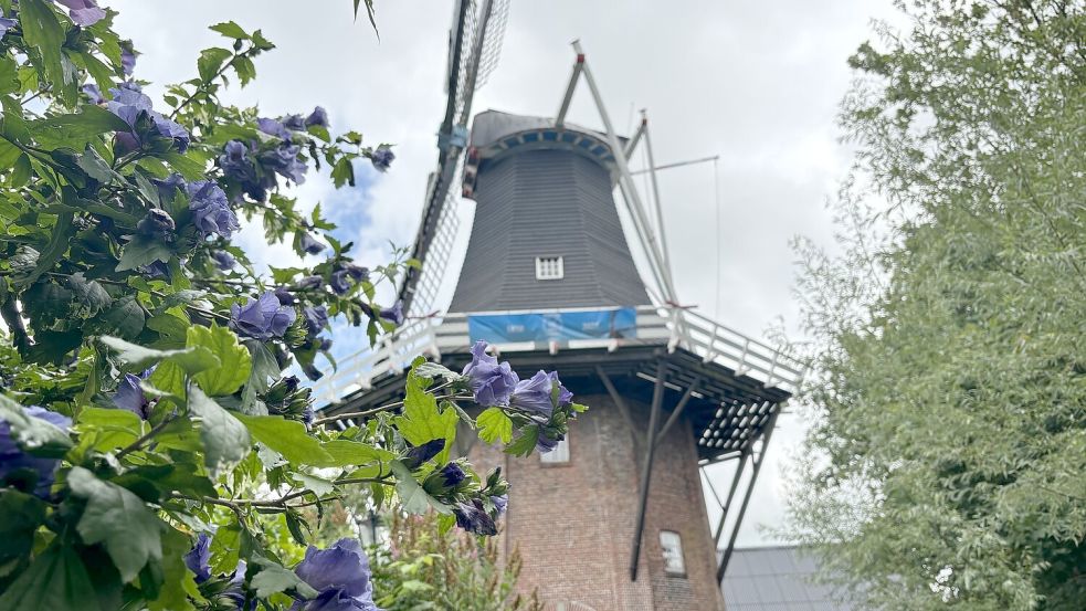 Im niederländischen Loppersum gibt es eine große Mühle – was unterscheidet die Orte sonst noch? Foto: Lotta Groenendaal