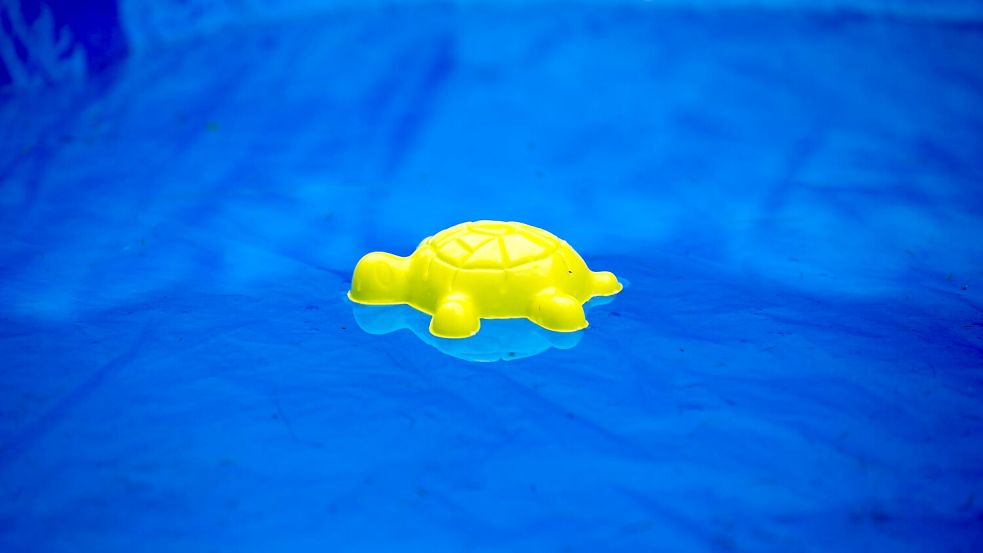 Die vermissten Kinder wurden tot in einem privaten Pool gefunden. (Symbolbild) Foto: picture alliance / Arno Burgi/dpa-Zentralbild/ZB