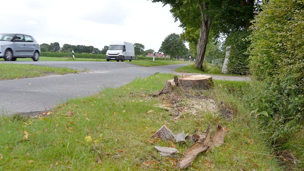 Aus Richtung Aurich kamen die Fahrzeuge, die in den schweren Unfall vor zwei Wochen verwickelt waren. Vom Baum, gegen den die Unfallfahrerin geprallt ist, ist nicht mehr viel übrig. Foto: Eva van Loh