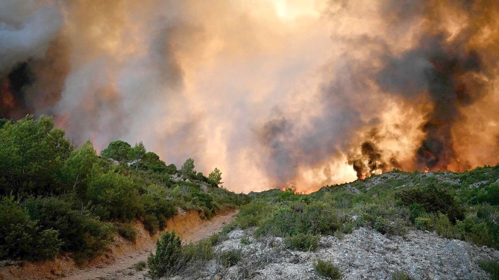 Ein Wald steht nahe Fontjoncouse, im Südwesten Frankreichs, in Flammen. Foto: Lionel Bonaventure/AFP/dpa