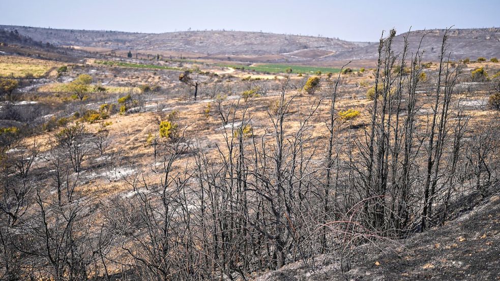 16.000 Hektar Fläche wurden von dem Waldbrand in Südfrankreich in Mitleidenschaft gezogen. Foto: Manu Fernandez/AP/dpa