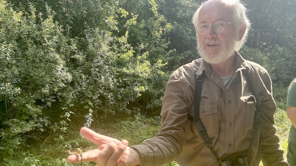 Libellen sind Helmut Hanssens Leidenschaft. Foto: Jasmin Oltmanns