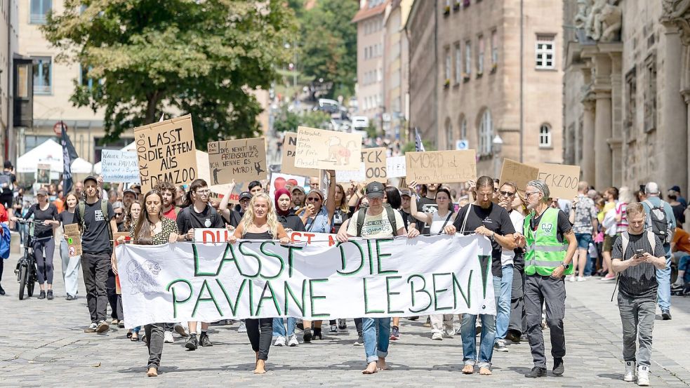 Die Tötung von Pavianen in Nürnberg hat scharfe Proteste hervorgerufen. (Archivbild) Foto: Daniel Karmann/dpa