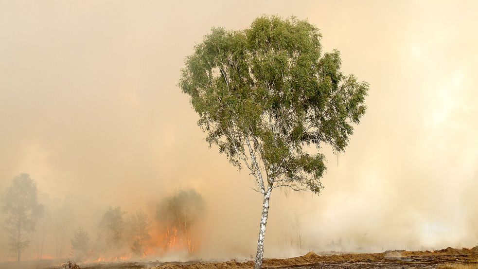 Munitionsaltlasten machen die Brandbekämpfung bei Truppenübungsplätzen besonders gefährlich. Foto: Susan Ebel