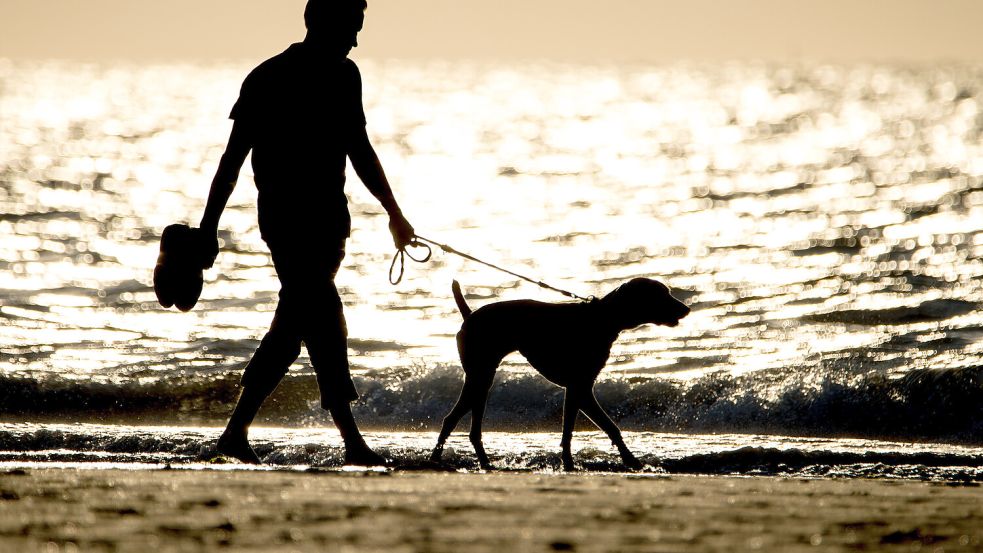 Ein Mann geht in der Abendsonne mit seinem Hund am Nordstrand der Insel spazieren. Foto: Hauke-Christian Dittrich/dpa