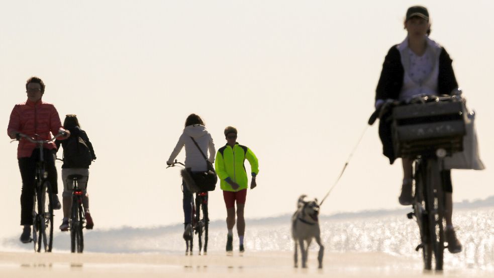 Mit Rad up Patt: Entspannt mit Hund und Rad an der Strandpromenade entlang. Foto: Mohssen Assanimoghaddam/dpa