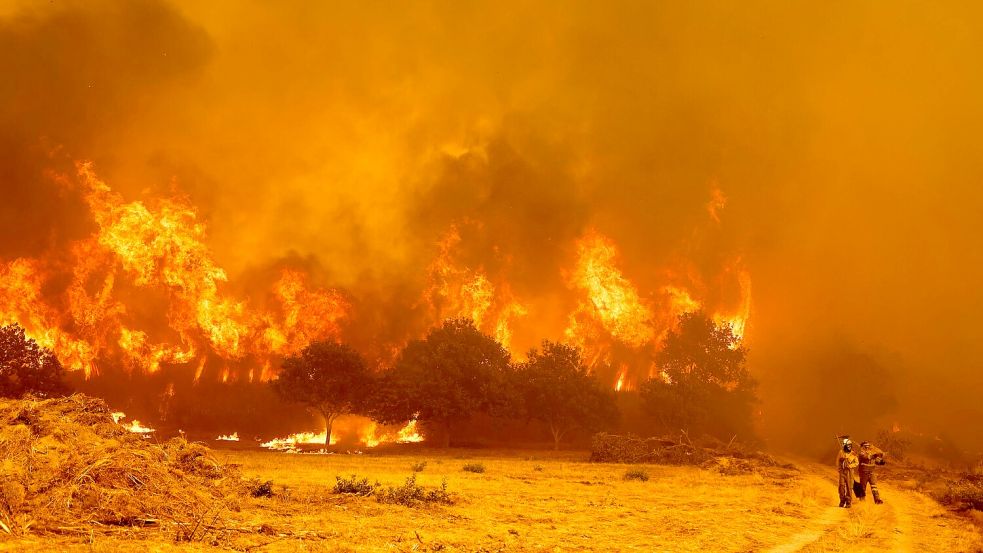 Die Brandbekämpfer sehen sich teilweise mit riesigen Feuerwänden konfrontiert, die durch stürmische Winde jederzeit blitzartig die Richtung ändern können. Foto: Lalo R. Villar/AP/dpa