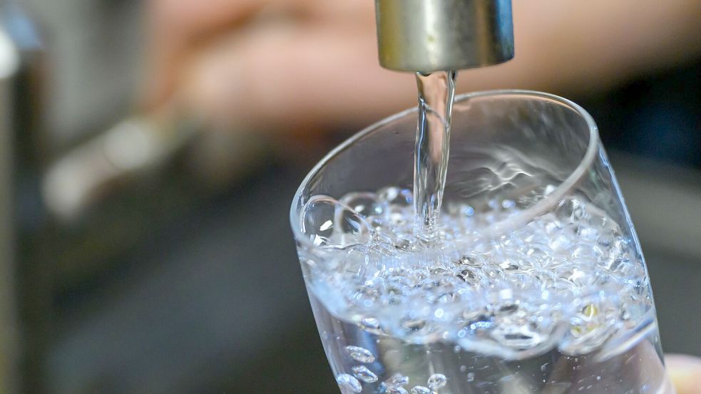 Extremhitze und Trockenheit: Künftig mehr Engpässe bei der Wasserversorgung in Deutschland erwartet. (Archivbild) Foto: Hendrik Schmidt/dpa