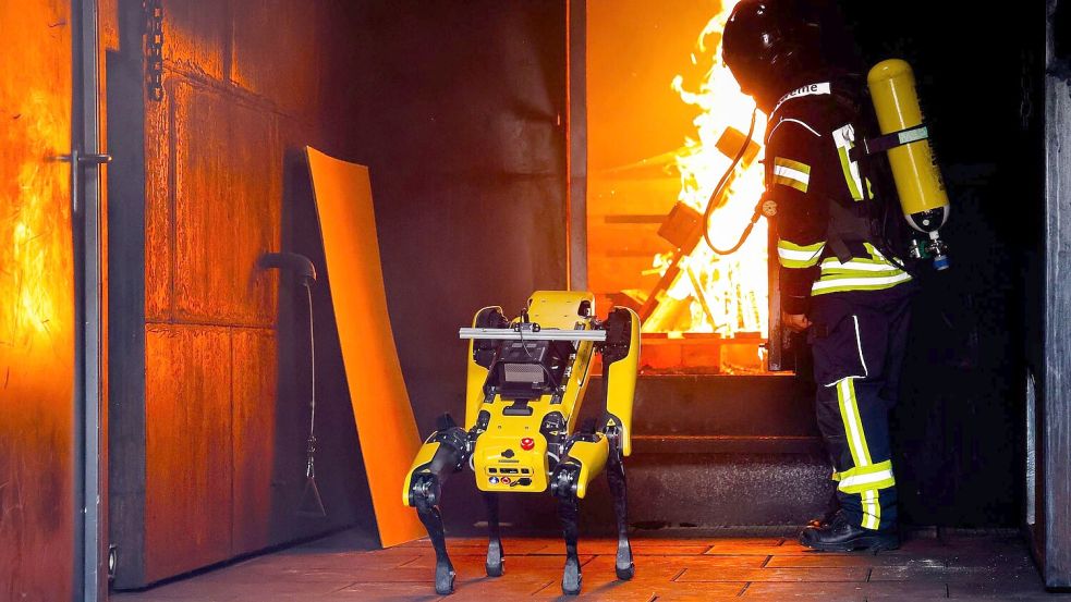 Informatiker wollen Roboter „Byte“ den Umgang mit Flammen beibringen. Foto: Frank Molter/dpa