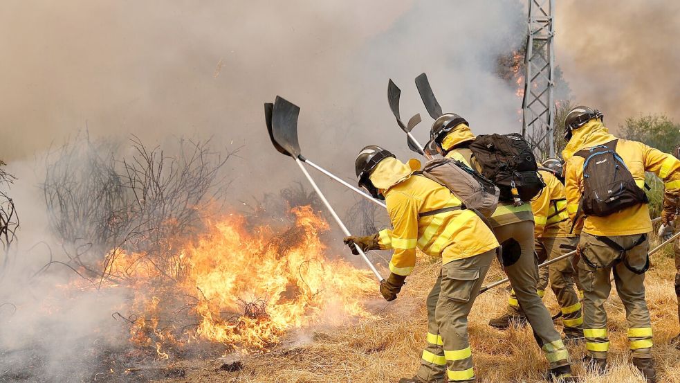 Seit fast zwei Wochen hält eine Waldbrand-Serie die Einsatzkräfte auf Trab. Foto: Lalo R. Villar/AP/dpa