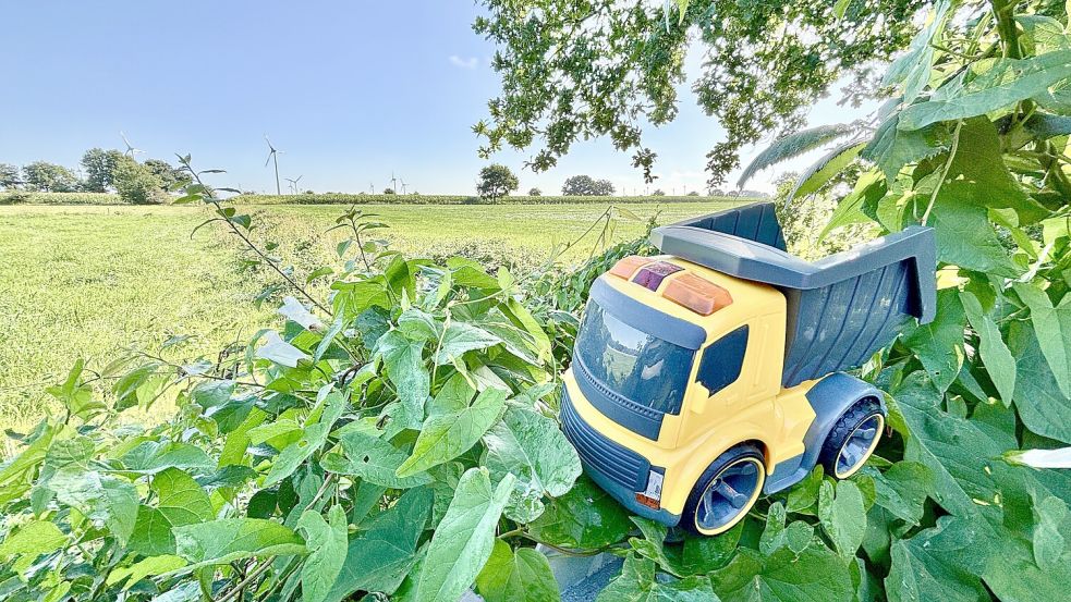 Noch rollen die Baufahrzeuge nicht über das geplante Neubaugebiet. Im kommenden Jahr könnte aber mit der Erschließung begonnen werden, hofft Bürgermeister Uwe Sap. Foto: Klaus Ortgies