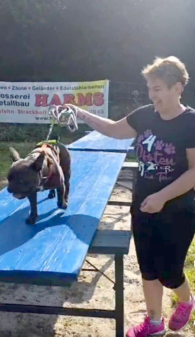 Ines Broschkat führt ihre Französische Bulldogge Buddy über einen Steg auf dem Hundeparcours. Foto: privat