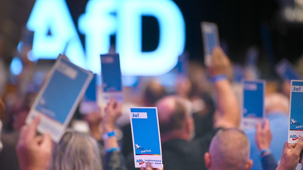 Nach den Wahlen im kommenden Jahr will die AfD erstmals auf Landesebene regieren. Foto: dpa/Heiko Rebsch