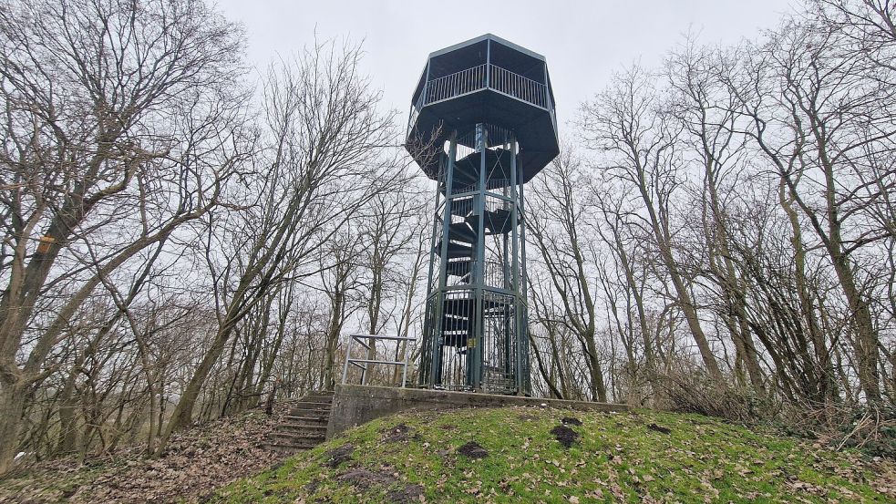 Auf dem Gelände des „Monte Teichmann“ in Weener befindet sich auch ein Aussichtsturm. Foto: Tatjana Gettkowski/Archiv