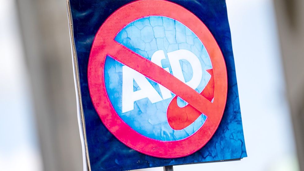 Die Diskussion um ein mögliches AfD-Verbotsverfahren ebbt nicht ab. Foto: dpa/Fabian Sommer