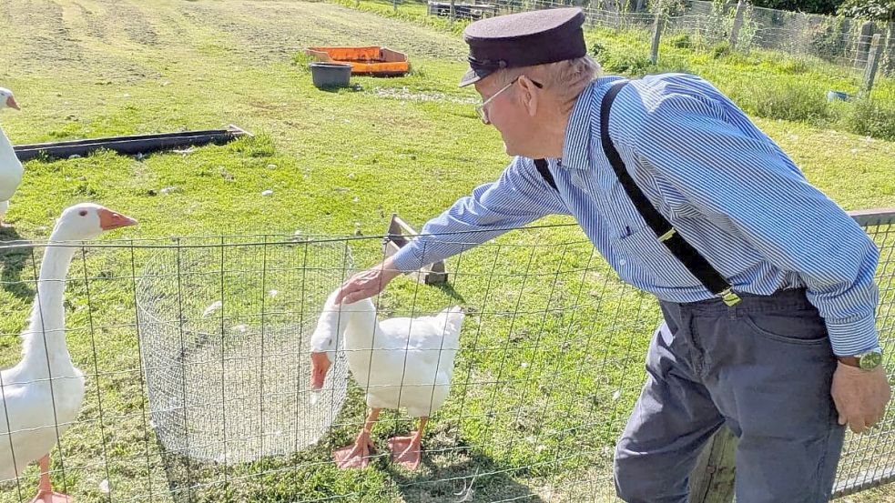 Ludwig Smidt mit seinen Gänsen. Ob er diese auch in Zukunft auf seinem Grundstück in Marienhafe halten darf, ist laut Landkreis offen. Foto: Thomas Dirks