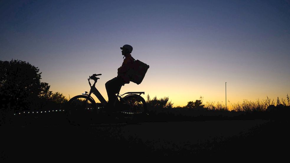 Laut einer Umfrage sind immer mehr Menschen in Deutschland mit einem Elektrofahrrad unterwegs. (Symbolbild) Foto: Robert Michael/dpa