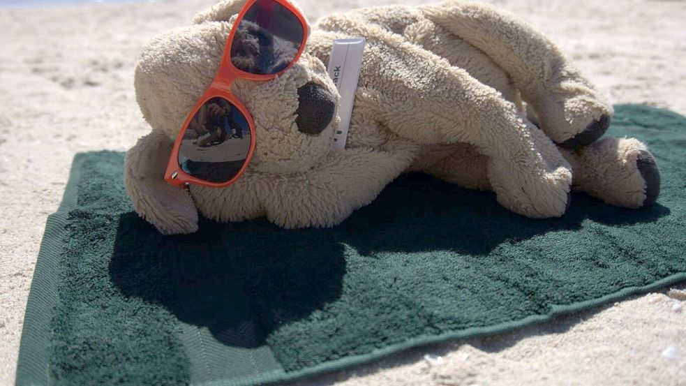 Auch am Strand durfte sich Jack schon sonnen. Foto: Holiday Inn Perth City Centre/dpa