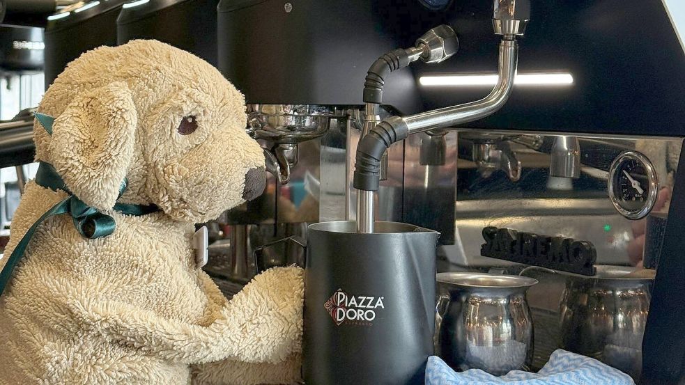 Auch die Espresso-Maschine weiß Jack bereits zu bedienen, sagt die Belegschaft. Foto: Holiday Inn Perth City Centre/dpa