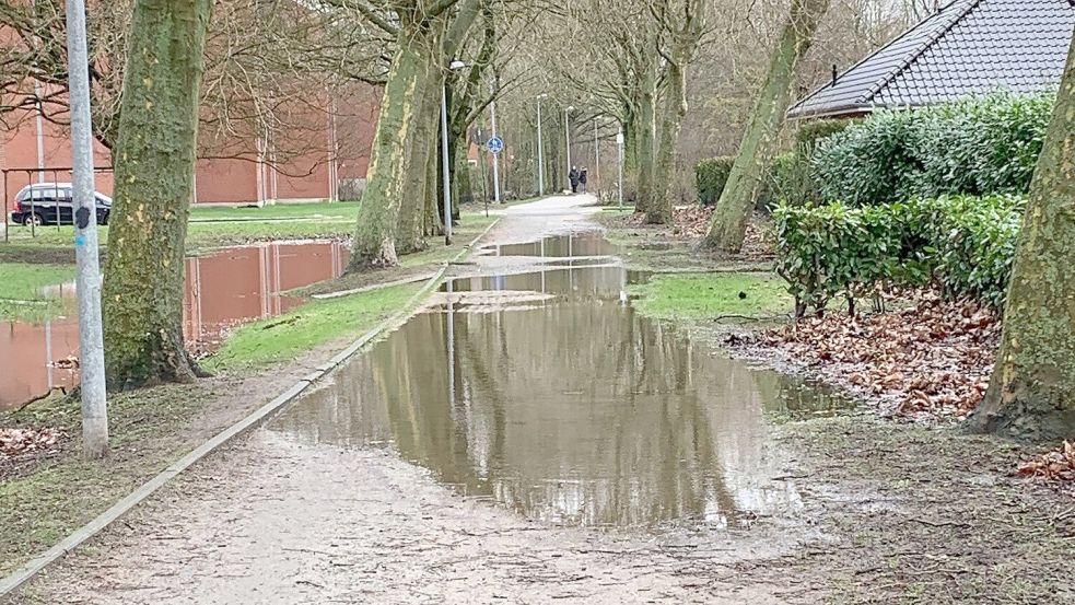 Der Grüne Weg ist einer der beliebtesten Alltagswege in Emden für Fußgänger und Radfahrer, doch bei Regen ist es fast unmöglich, ihn trockenen Fußes zu nutzen. Foto: privat