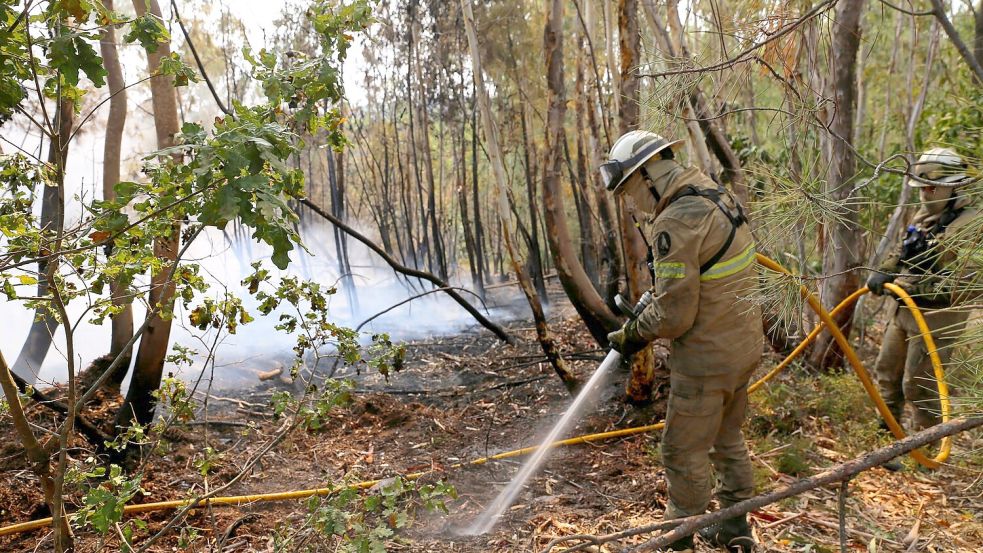 In Portugal gibt es eine leichte Entspannung bei den schweren Waldbränden. Noch aber sind rund 1.400 Feuerwehrleute im Einsatz. Foto: Xun Wei/XinHua/dpa