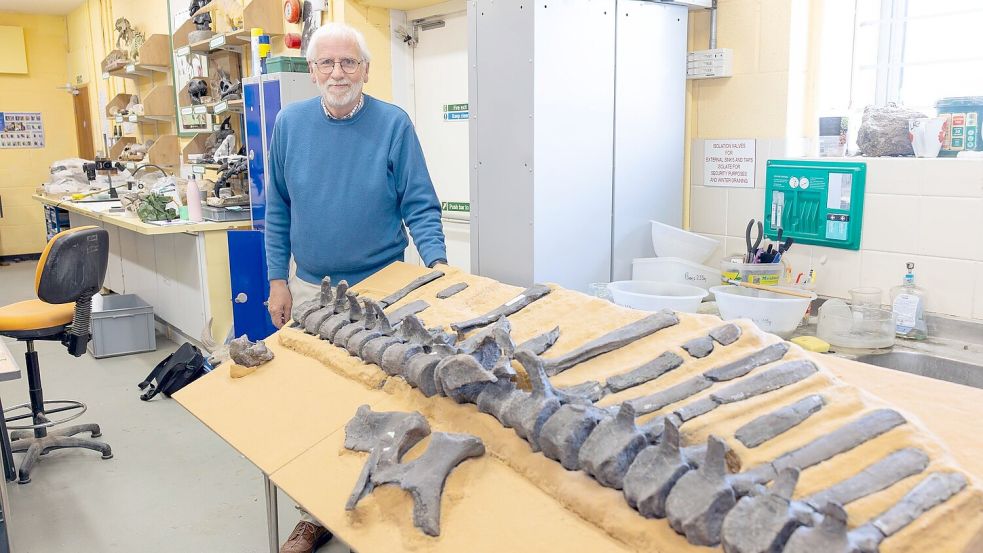 Jeremy Lockwood mit Fossilien von Istiorachis macarthurae Foto: -/University of Portsmouth/dpa