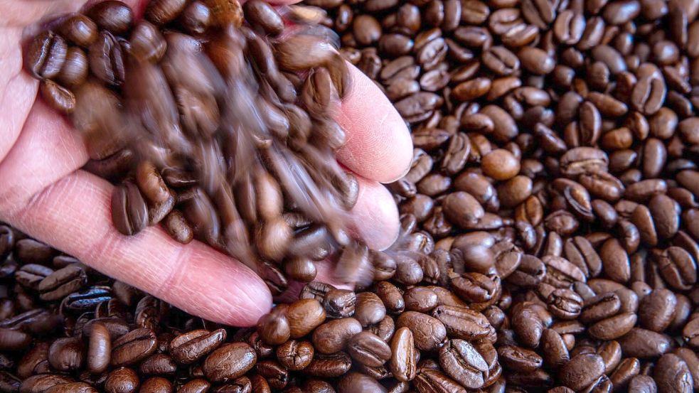 Mit dem Deal will der US-Konzern Keurig Dr Pepper einen globalen Kaffeechampion aufbauen. (Symbolbild) Foto: Jens Büttner/dpa