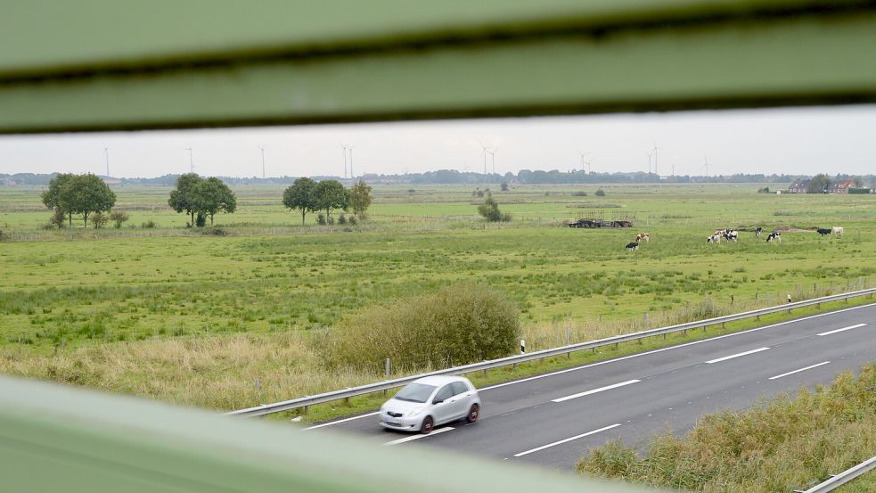 Auf dem Weideland zwischen A31 und dem Neuen Weg sollen schon bald mehrere Gewerbe ihren Platz finden. Foto: Archiv