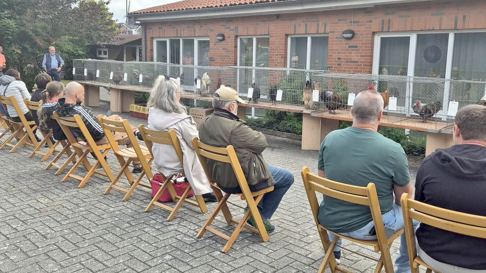 Welcher Hahn kräht am meisten? Die Wettbewerber warten auf die „Kikerikis“. Foto: privat