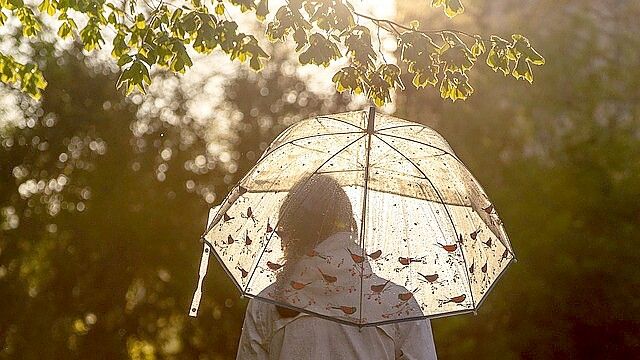 Wer an diesem Wochenende was vorhat, sollte an einen Regenschirm denken. Symbolfoto: pixabay