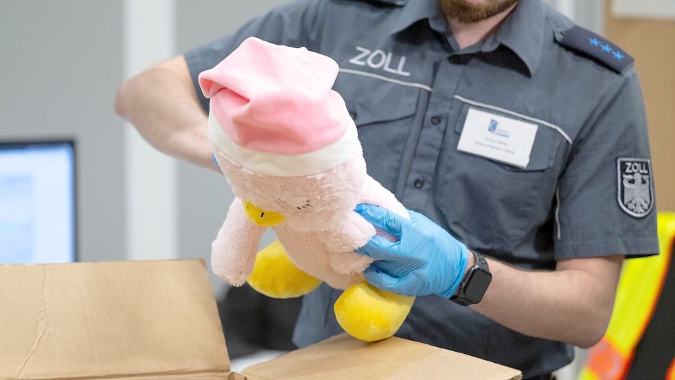 Im vergangenen Jahr schritten die Zollbehörden in der EU laut einem Bericht knapp 400.000 Mal ein und führten Dokumentenkontrollen, physische Kontrollen oder Labortests durch. (Symbolbild) Foto: Hendrik Schmidt/dpa